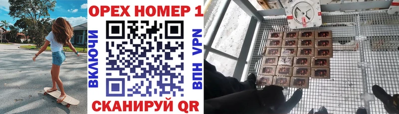 купить наркоту  Урус-Мартан  Cocaine Эквадор 