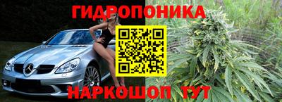 прущие крисы Канаш