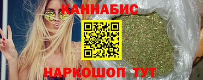 a pvp Камышлов