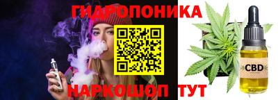a pvp Камышлов