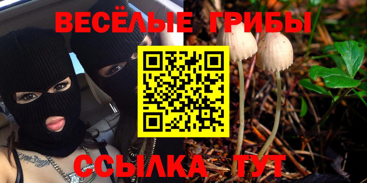 Псилоцибиновые грибы Psilocybine cubensis  Галлюциногенные грибы MAGIC MUSHROOMS  наркотики  Урус-Мартан 