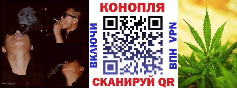Бошки марихуана индика  Урус-Мартан 